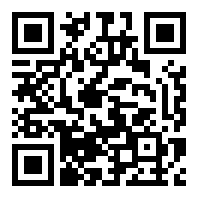 flash小游戏中国版