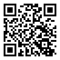 秦殇存档