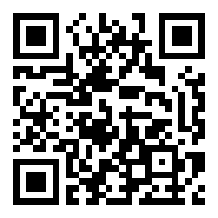 罗布乐思国际版