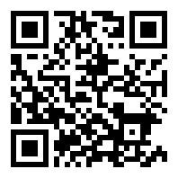 罗布乐思国际服安装器2025
