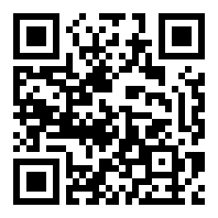 fake
