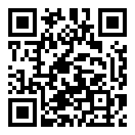 vivo远程便携版