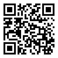 雷电将军的惩罚v3.0