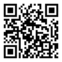 双截龙格斗汉化版