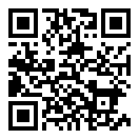 弹力小鸟